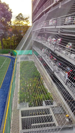 IMG_20130613_171618_067